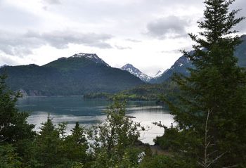 halibut-cove